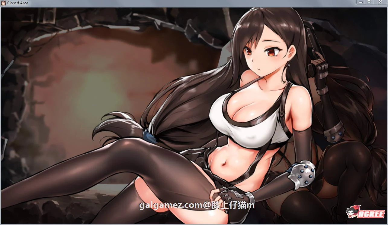 解密ACT/全动画 封闭的区域-Z ！黑丝蒂法【DL正式版+存档/新作/全CV/800M/战斗互动】