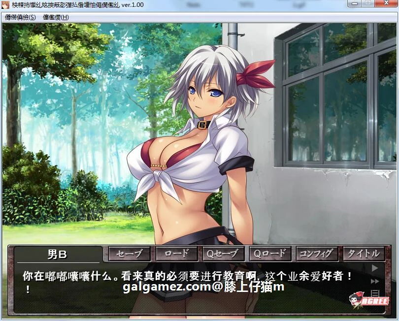 格斗美少女的终极表现！汉化版+CG动画 [拔作ADV/动态] (600M)