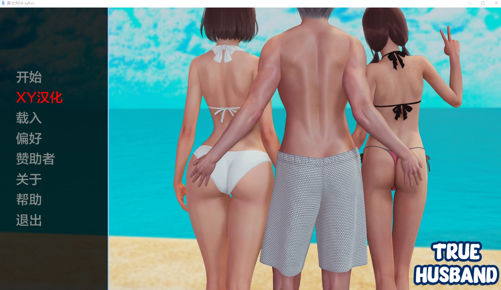 真·丈夫 True Husband [亚洲SLG/3D/AIGPT汉化] (v0.6) PC+安卓