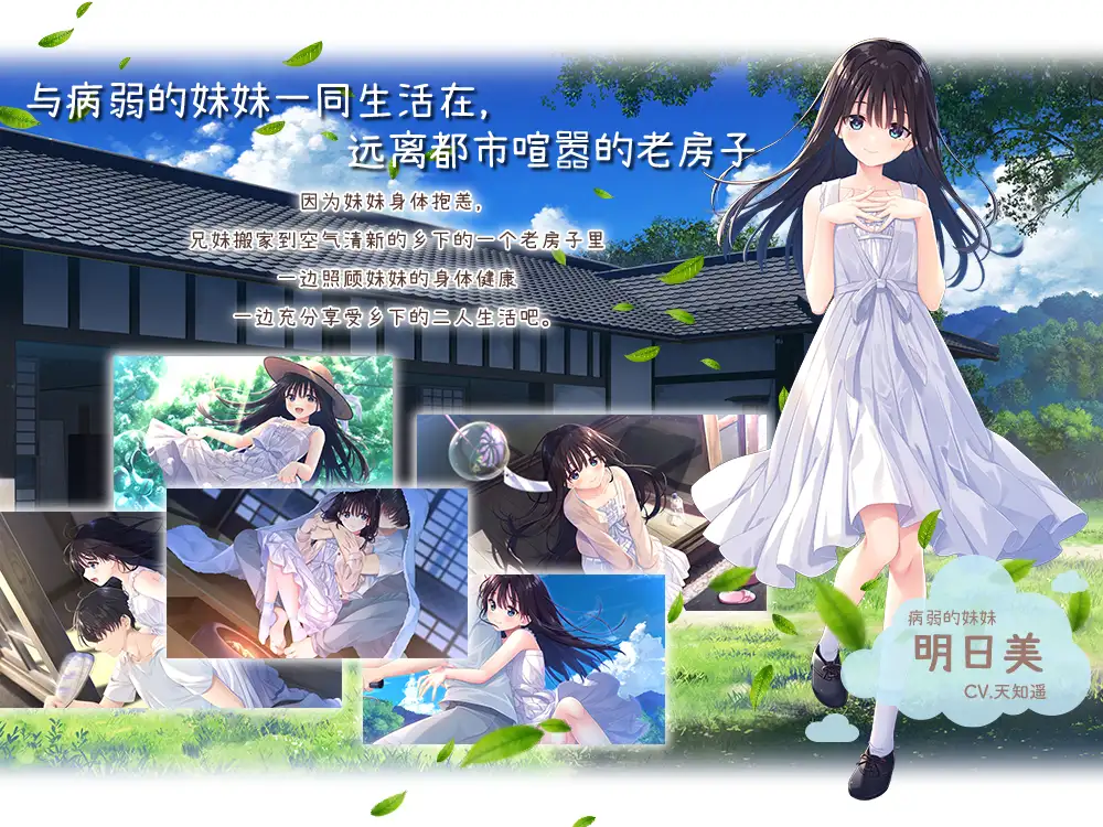 痴情哥哥与病弱妹妹的乡村日常 [Steam官方中文步兵版] PC-RPG / 动态无码 / 官中 / 3G