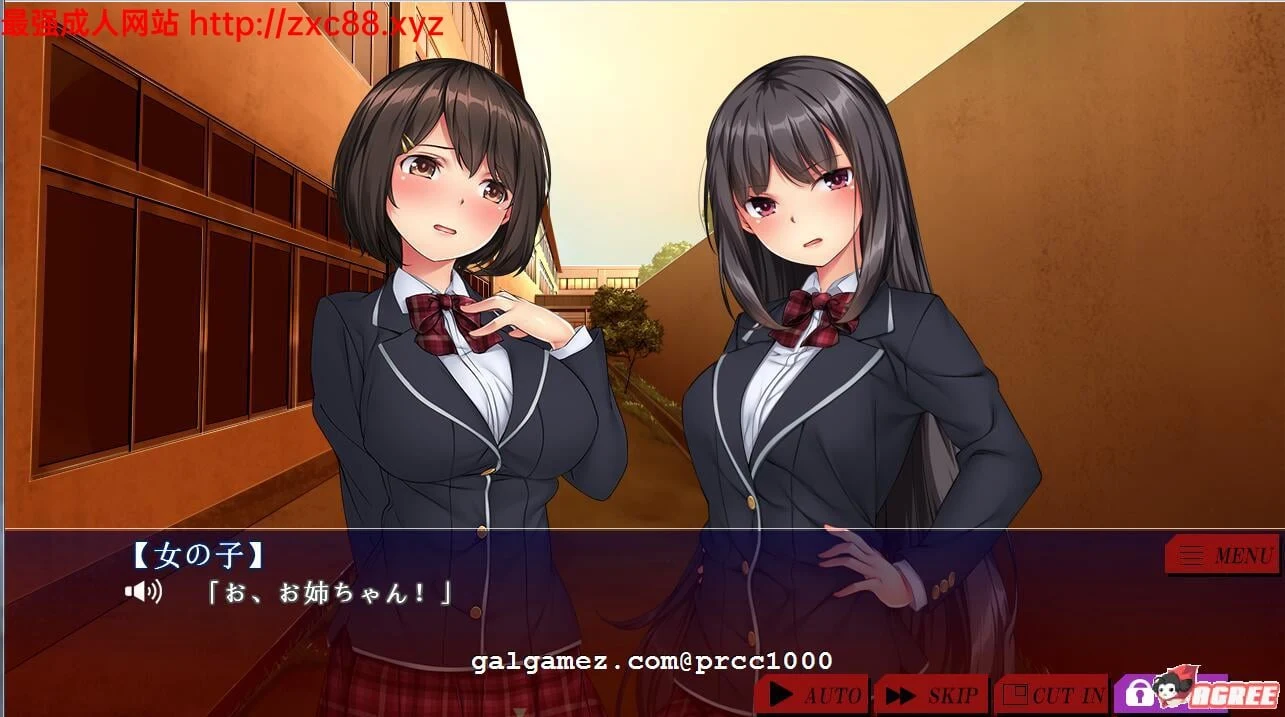 【全动态】强制优等生姐妹 不良集团交易变化 HAG [4G/新作/全CV/付提取]
