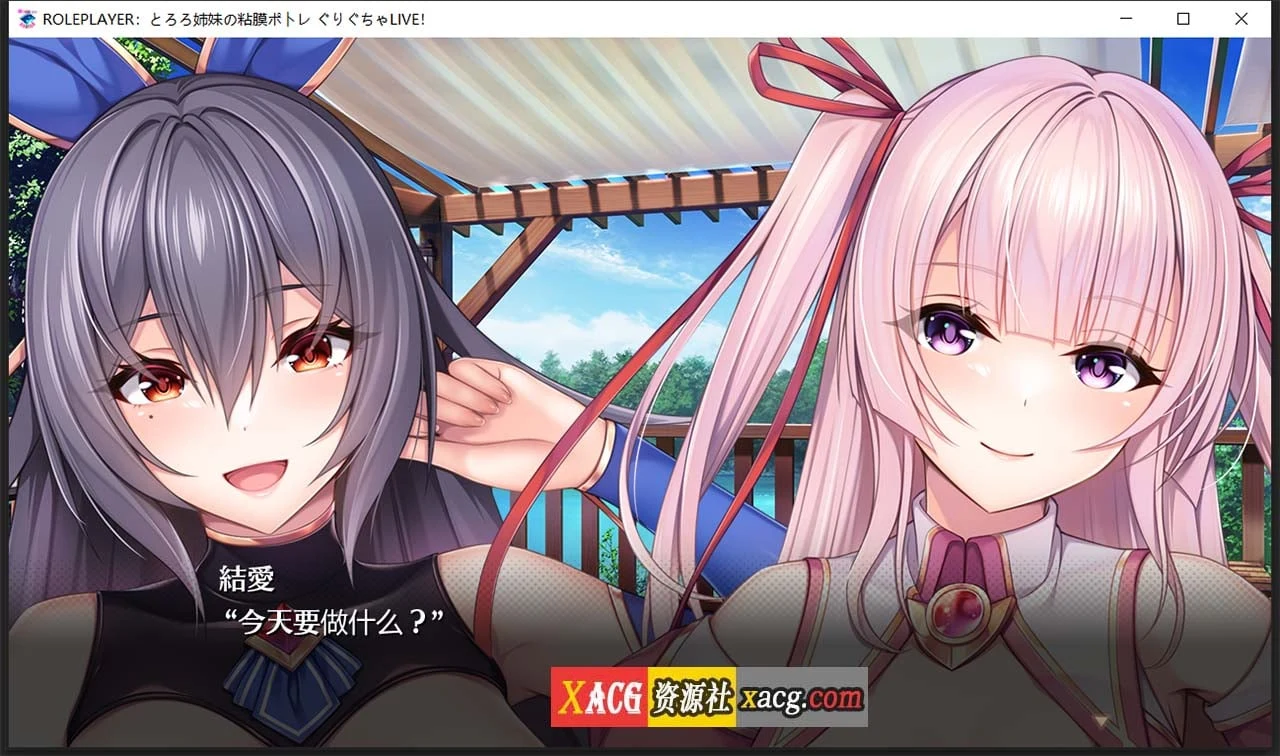 ROLEPLAYER：山药姐妹的互动游戏 精翻汉化版+全CG档 [神级SLG/汉化/动态] /新汉化/4.4G