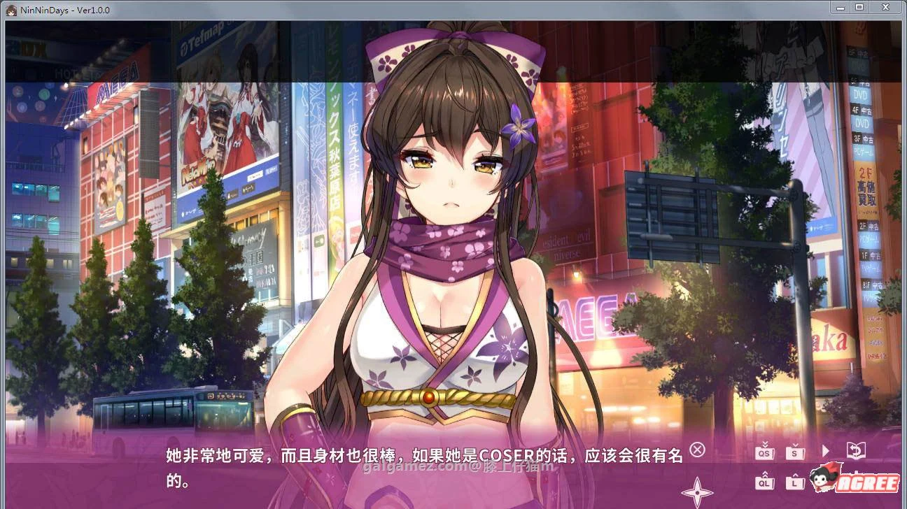 女忍者同居生活 NinNinDays 官方中文版+附加补丁【SLG/全动态/佳作】