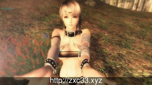 上古卷轴4:湮没 天际降临版【绅士MOD大整合/16G】[3D/动态/汉化/整合] +各类随从