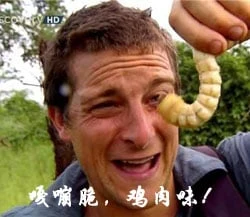 3D互动 异种注意！发现了不明生物！Ver0.3 汉化版