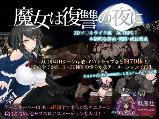 魔女复仇之夜 / 魔女は復讐の夜に [PC] (ACT+汉化+步兵+动态) [2.4G / 微云网盘 / 直链]